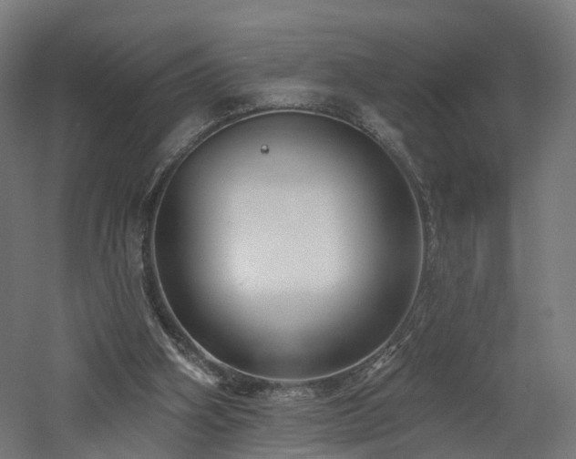 X0000060760106200511101150