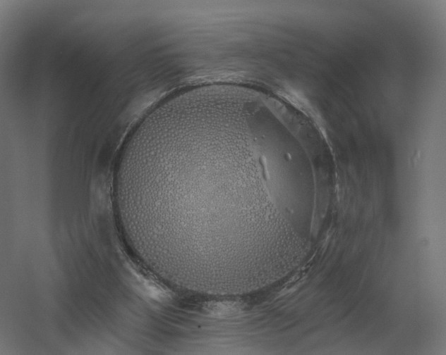 X0000060760107200511101150