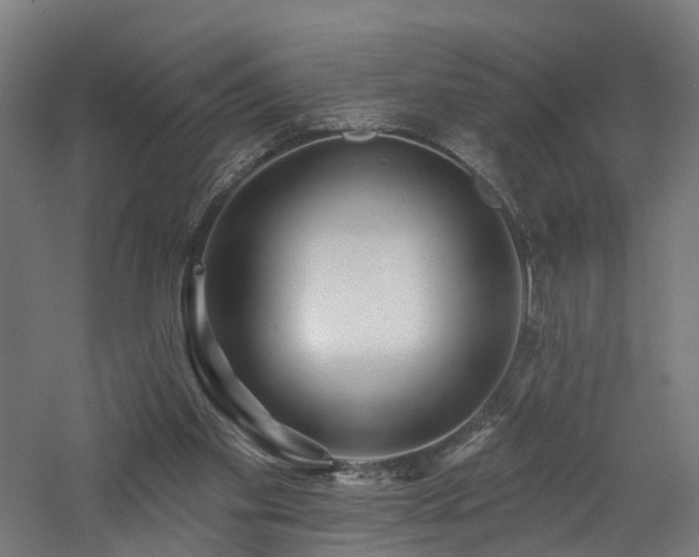 X0000060760109200511101150