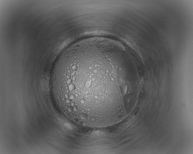 X0000060760111200511101150