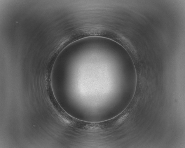 X0000060760113200511101150