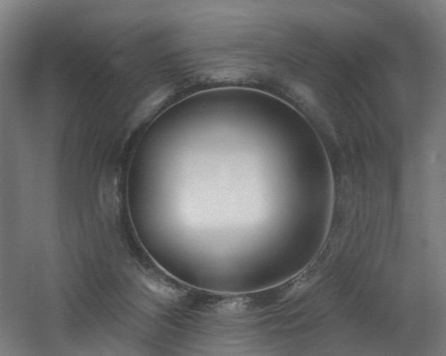 X0000060760116200511101150