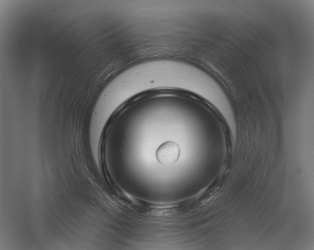 X0000060760117200511101150