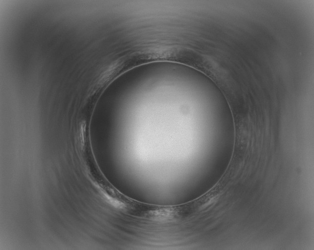 X0000060760118200511101150