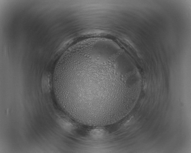 X0000060760119200511101150