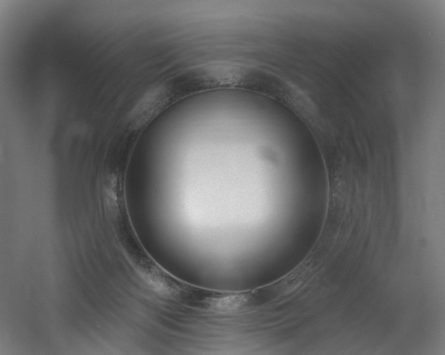 X0000060760122200511101150