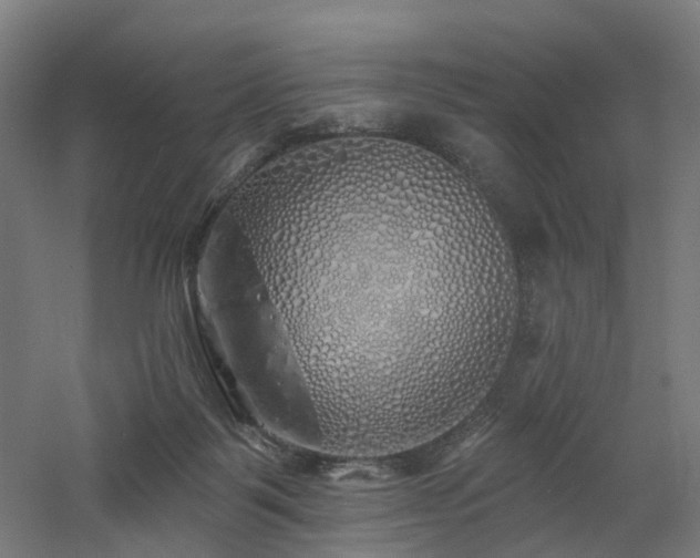 X0000060760123200511101150