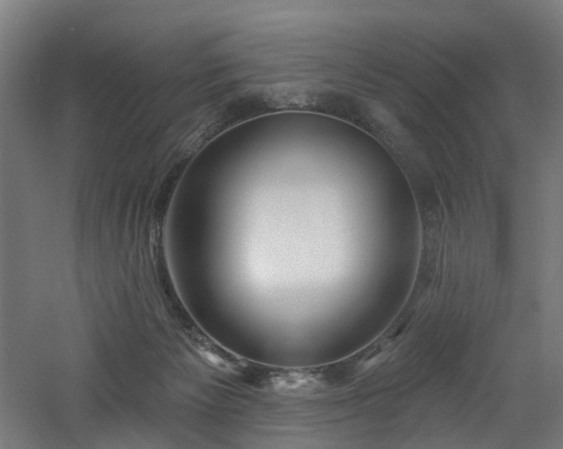 X0000060760125200511101150