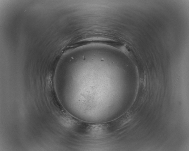 X0000060760127200511101150