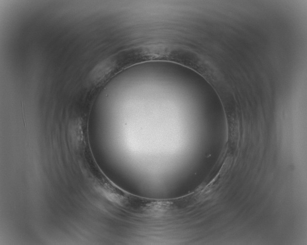 X0000060760128200511101150