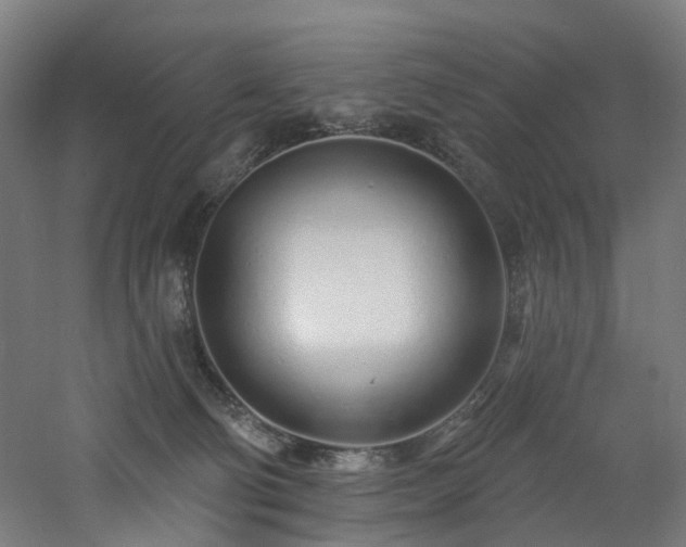 X0000060760130200511101150