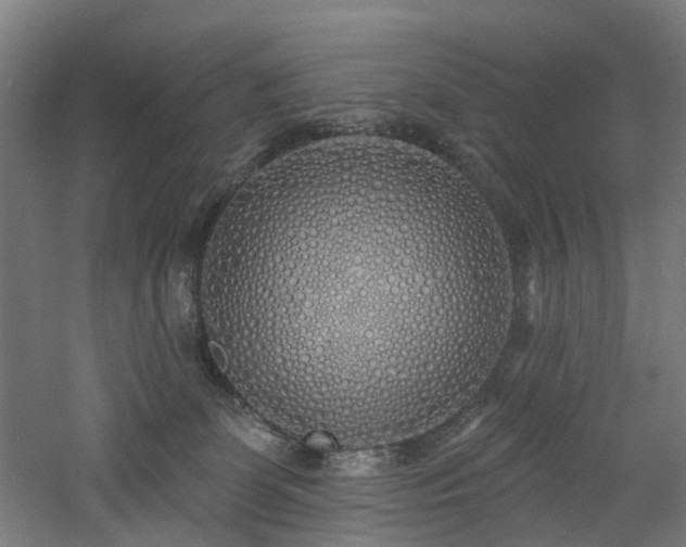 X0000060760131200511101150