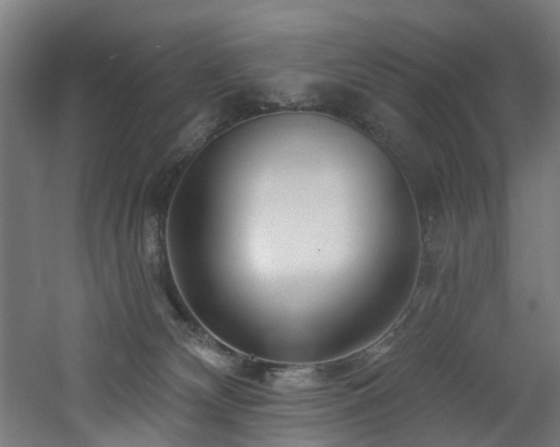 X0000060760132200511101150