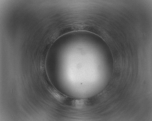 X0000060760134200511101150