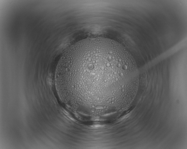 X0000060760135200511101150