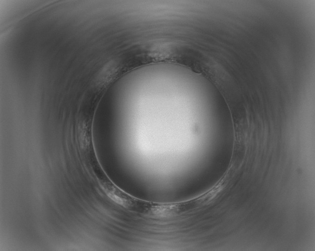 X0000060760136200511101150