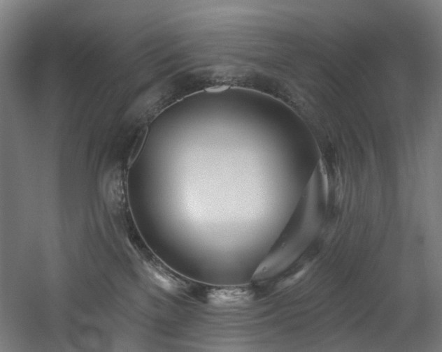 X0000060760137200511101150