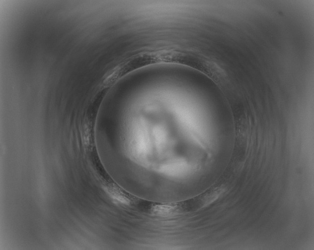 X0000060760139200511101150