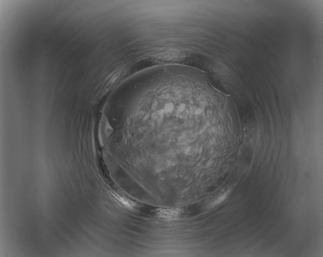 X0000060760143200511101150