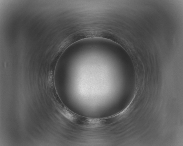 X0000060760144200511101150