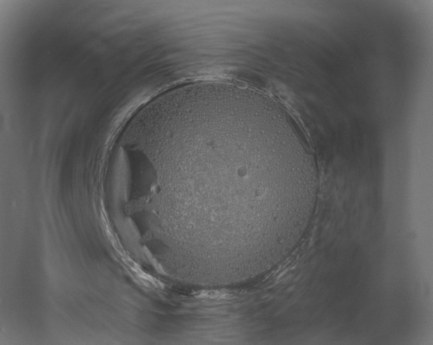 X0000060760145200511101149