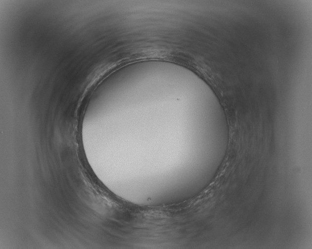 X0000060760146200511101149