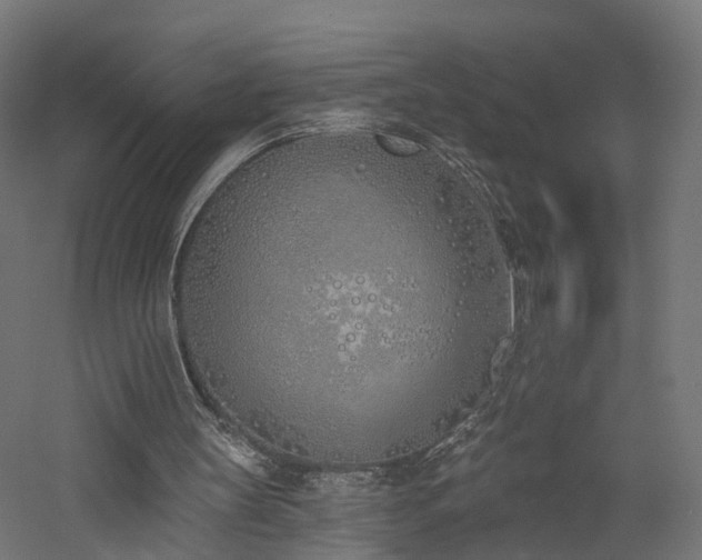 X0000060760147200511101149