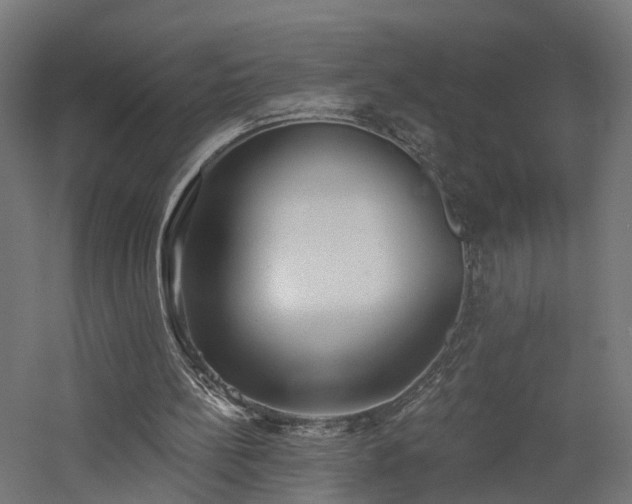 X0000060760148200511101149