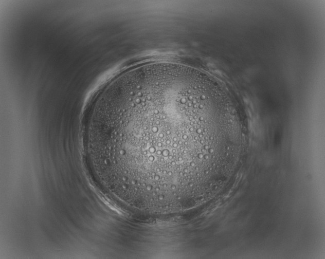 X0000060760149200511101149