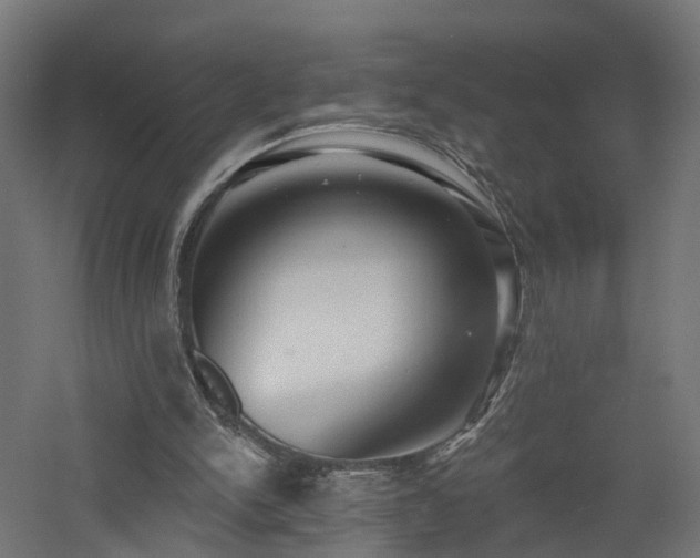 X0000060760150200511101149