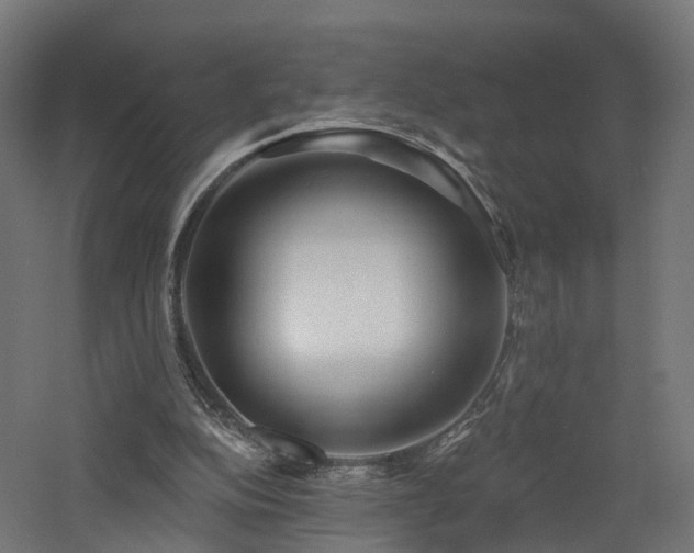 X0000060760152200511101149