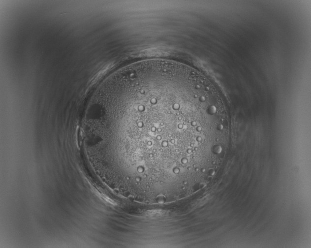 X0000060760153200511101149