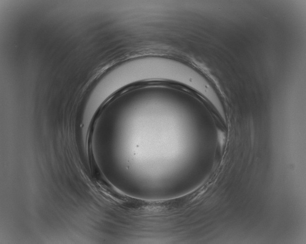 X0000060760154200511101149