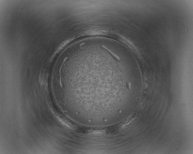 X0000060760155200511101149