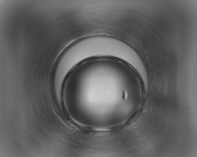 X0000060760156200511101149