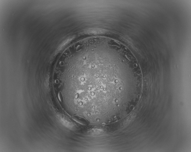 X0000060760159200511101149