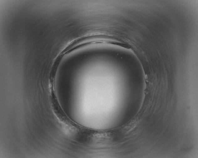 X0000060760160200511101149