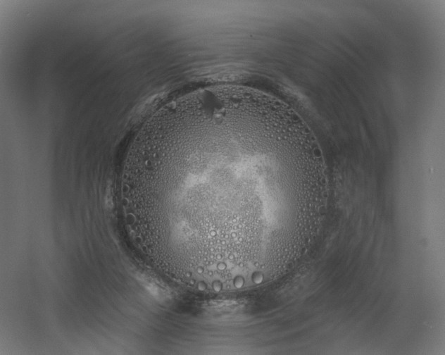 X0000060760161200511101149