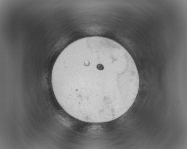 X0000060760162200511101149