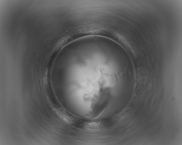 X0000060760163200511101149