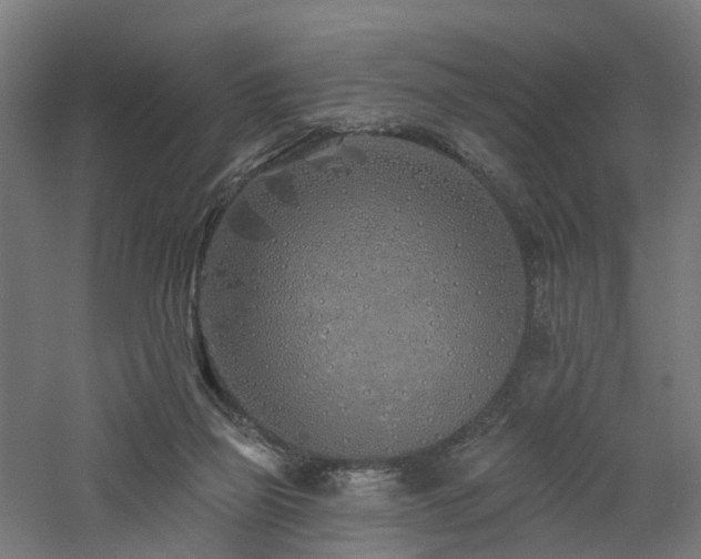 X0000060760165200511101149