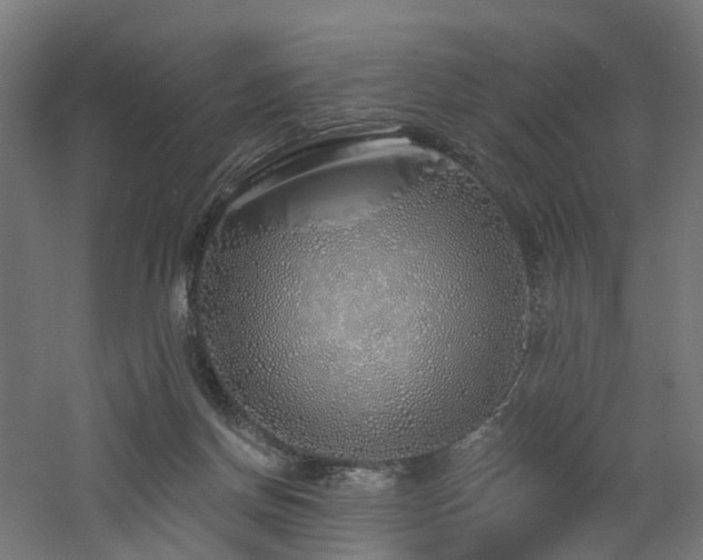 X0000060760166200511101149