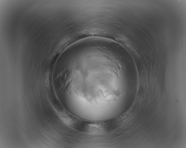 X0000060760167200511101149