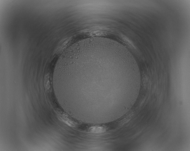 X0000060760169200511101149