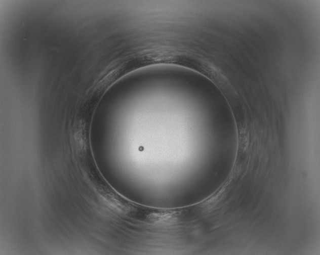 X0000060760170200511101149