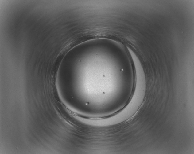 X0000060760171200511101149