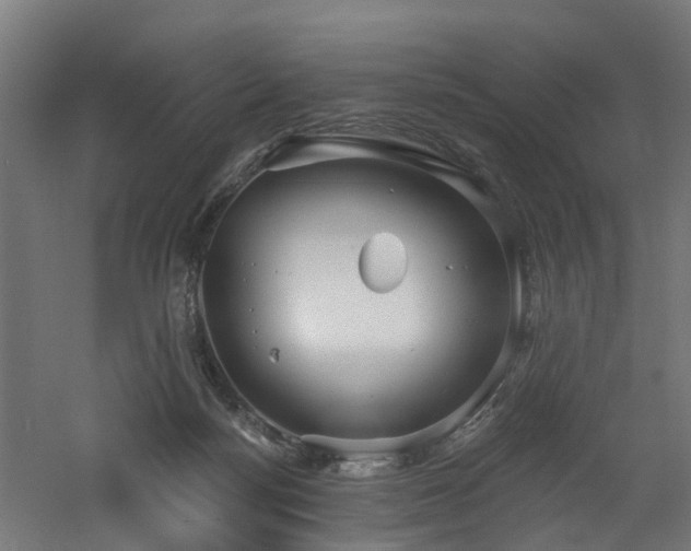 X0000060760172200511101149