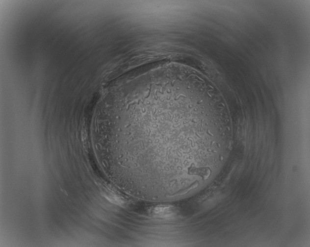 X0000060760173200511101149