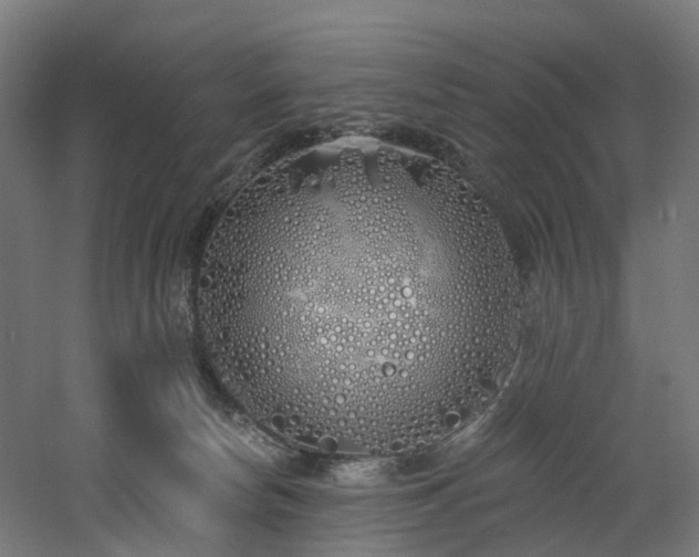 X0000060760178200511101149