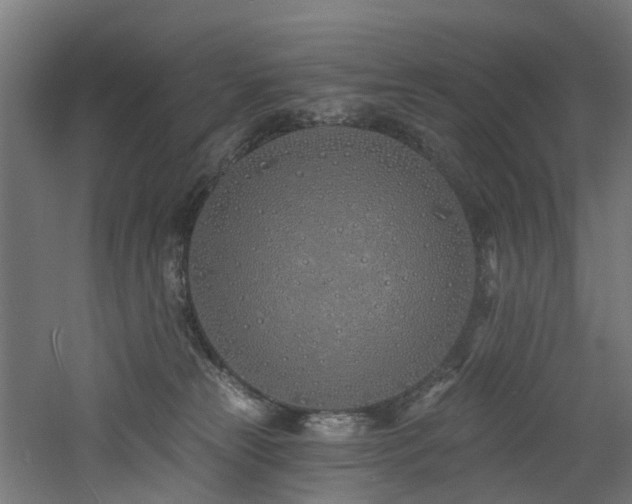 X0000060760181200511101149